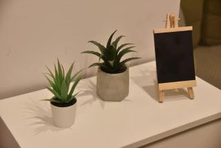 Tiny Treasure Apartment - Atene - 5