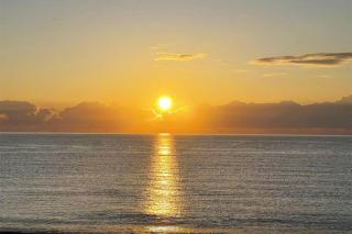 Beachhouse GALORE - Estepona - 1
