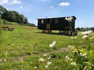 Deer Lodge Shepherds Hut - Rowlands Castle - 0