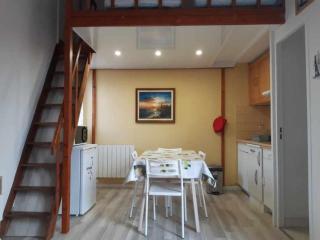 studio climatisé 4 places de 25 m2 avec mezzanine, terrasse - 6