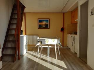 studio climatisé 4 places de 25 m2 avec mezzanine, terrasse - 5