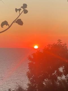 La GEMMA di Orrico - Anacapri - 7