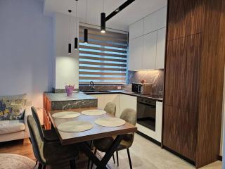 Deluxe Flat with garden_Tirana - Tirana - 5