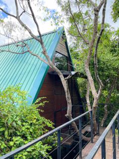 The Wild Yala - Kataragama - 5