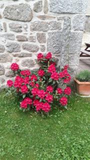 Gite les ducs - Mialanes - 7