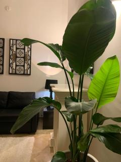 Bari Downtown Luxury Apartment - Bari - 0