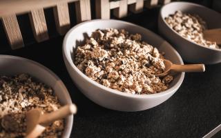 Sporthotel Bachmann - 1