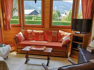 Coquet T2 avec terrasse plein sud, au centre de Samoëns, proche commerces et ski-bus - FR-1-629-79 - Samoëns - 9