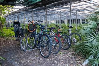 RELAX AL MARE - Spiaggia, bici e barbecue! - Arma di Taggia - 7