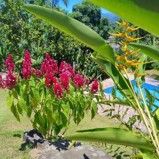 Pousada Porto Taquari - 6