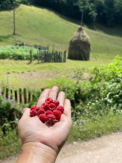 Rai Village - 1