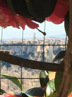 Civita's - Lubriano - 4