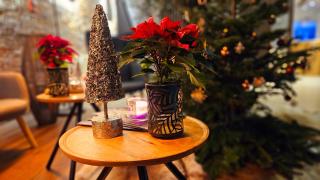 eXo Boutique Hotel Mannheim - by SuperFly Hotels - 7