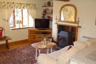 Tre-Allt Gorgeous Cottage - Dolgellau - 9