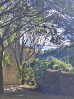Le Moulin de La Grave - Lagrasse - Lagrasse - 3