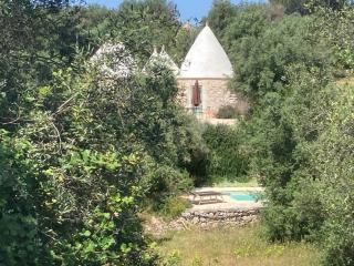Trullo Lui di Borgo Paoli Ostuni - 6