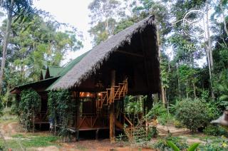 Casa Amazonas - Puerto Maldonado - 3
