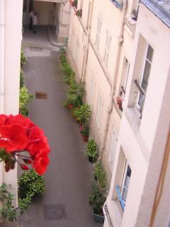 calme et repos, vue sur les arbres - Paris - 0
