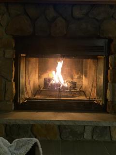 Gorgeous House in Camelback Mountain near lifts! - Tannersville - 5