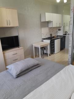 Cathedral Park Medium Apartment - Chişinău - 2