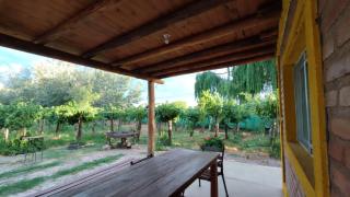 Cabañas El Sauce - Albardón - 6