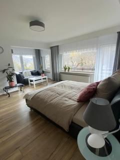 Pension mit Moselblick - 2