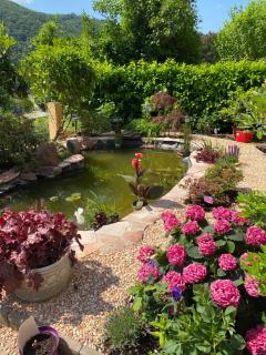 Pension mit Moselblick - 5