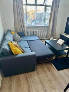 Cozy Home in Downtown Reykjavik - 6