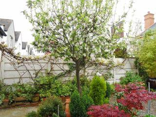 Compton Guest House - London - 8
