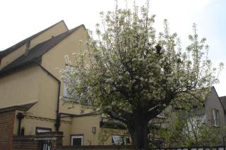 Compton Guest House - London - 1