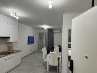 Apartament JANICKIEGO 166 parking free - Poznań - 1
