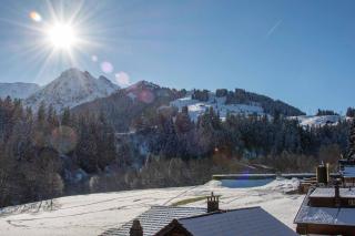 Schützenrain 1. Stock - Adelboden - 8