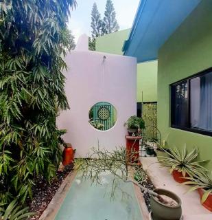 Unique Art & Nature Hideaway Walk to Wilton Drive - Fort Lauderdale - 8