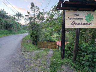 Studio House in Eco-Farm: nature, relaxing, hiking - Turrialba - 6