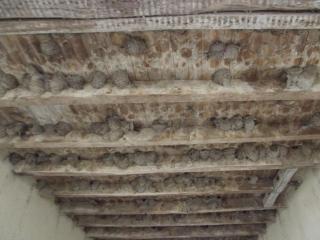 Maison de plain-pied en Brenne avec cour close, Wifi et proche de Châteauroux et étang de pêche - FR-1-591-104 - 7