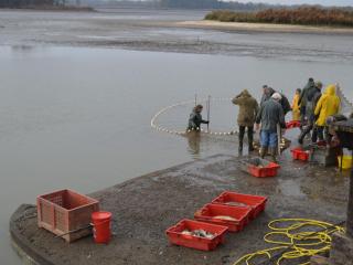 Maison de plain-pied en Brenne avec cour close, Wifi et proche de Châteauroux et étang de pêche - FR-1-591-104 - 4