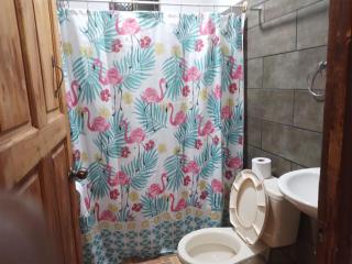 Apartamentos HJJ N 2 - Puerto Limón - 9