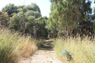 Topsys Corner - large rural house near Orange - - 6
