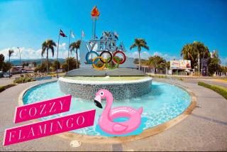 Cozzy Flamingo Renta Vacacional - Concepción de La Vega - 8