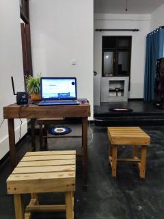 Helianthus Hiriketiya - 2