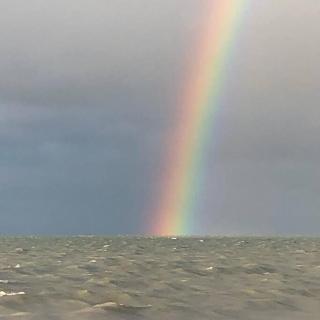 Bluewater Delight - 8