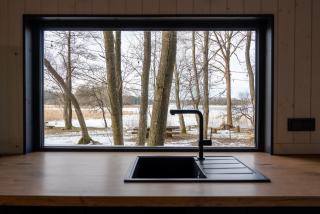 Living art piece at the lake. - 1