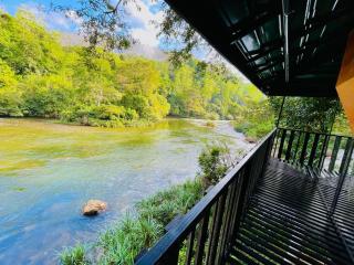 The Magical Tree House - 9