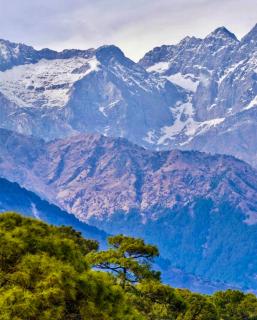 Snow Biscuit Villa - Dharamshala - 6