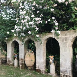 La Gallina Felice B&B - Meta - 3