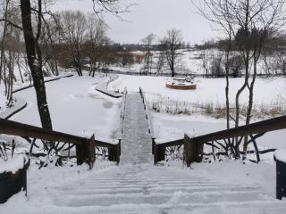 Ąžuolas - - 5