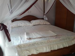 Harmonic villa - Weligama - 1