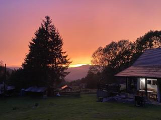Natur’Lovers - Chalet d’exception - Jacuzzi et hammam en pleine nature - Grendelbruch - 7