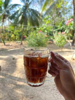 sofee homestay(Bulone Island)langu Satun Thailand - 7