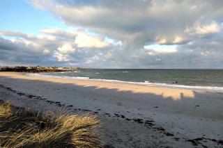 La palmeraie de brévy - 6